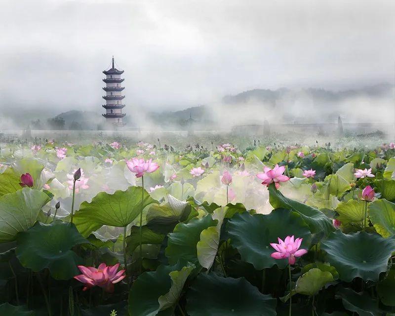 柳州柳城縣最新規(guī)劃，打造繁榮宜居的新時(shí)代城市藍(lán)圖