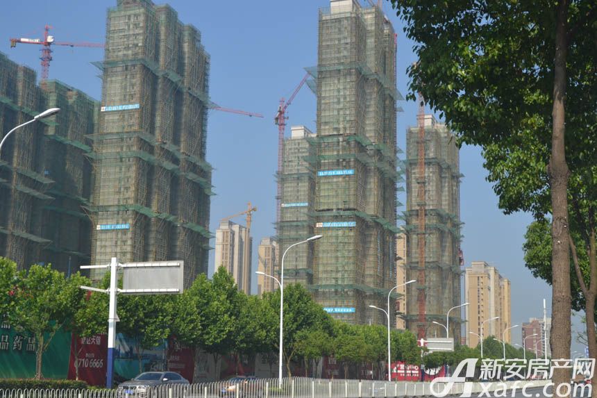 合肥信達(dá)天御最新動態(tài)，引領(lǐng)城市發(fā)展的璀璨明珠