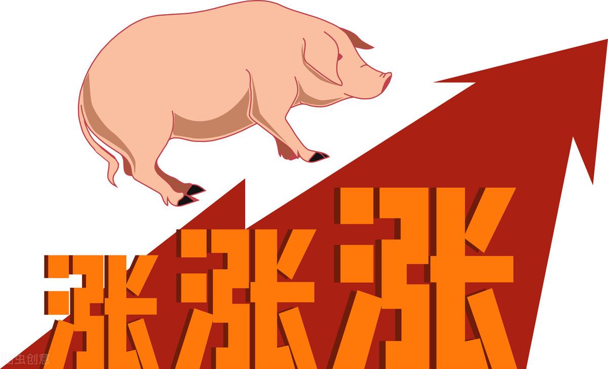 最新豬價(jià)錢分析，今天的市場動(dòng)態(tài)與趨勢預(yù)測