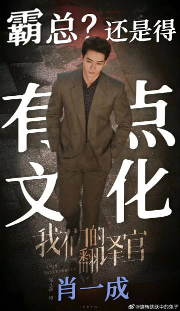 一肖一碼一一肖一子，探尋背后的神秘與魅力
