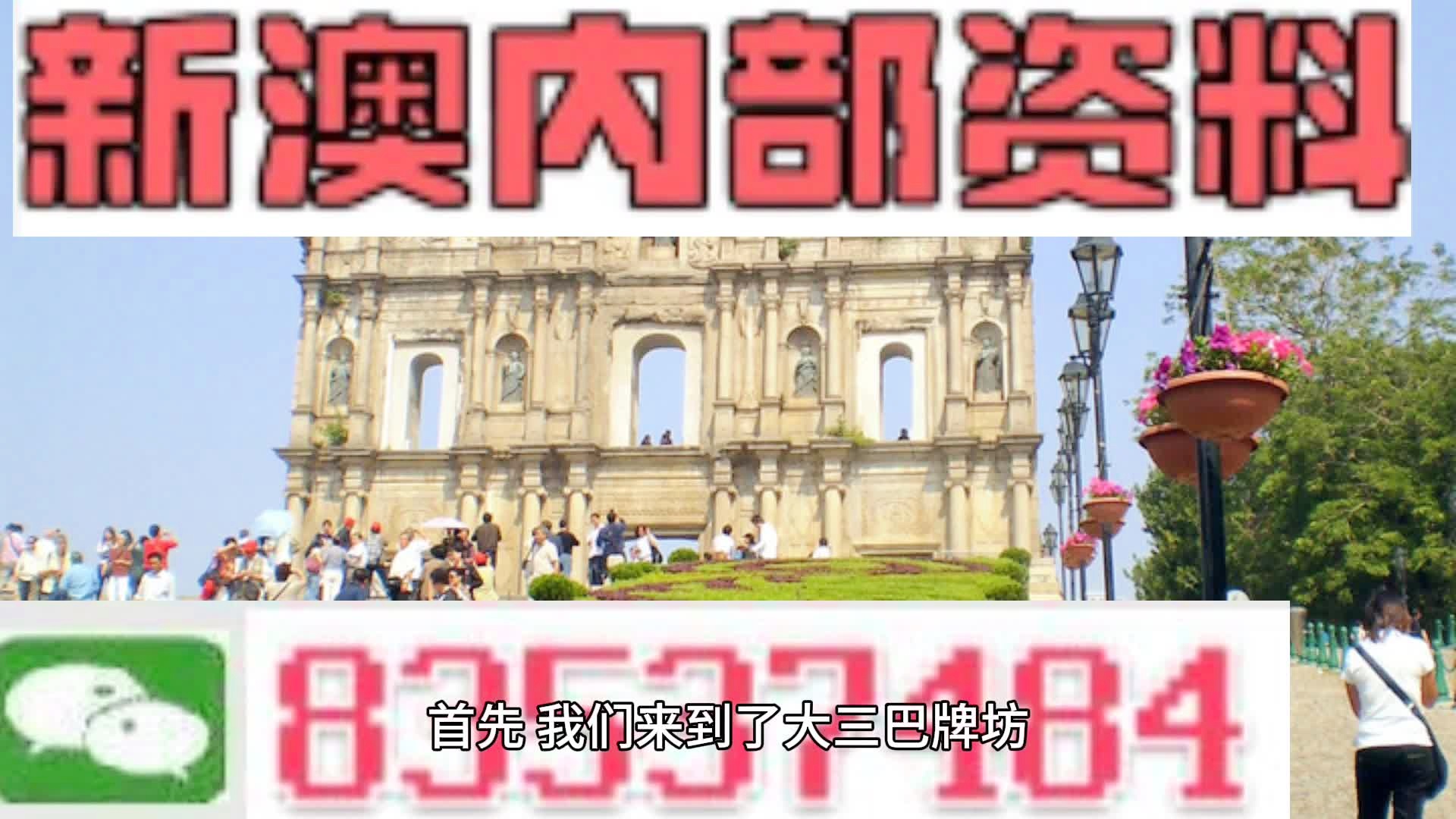 新澳2024正版資料免費公開，探索與揭秘
