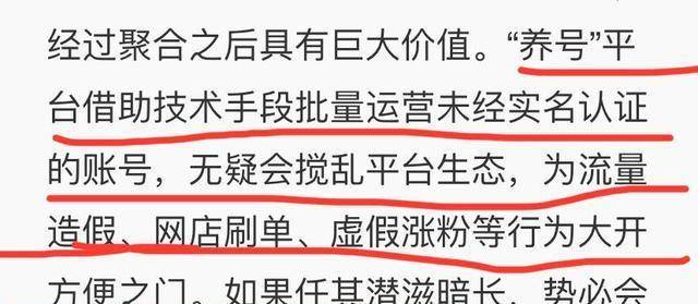 澳門三肖三碼精準(zhǔn)100%黃大仙，揭示背后的違法犯罪問題