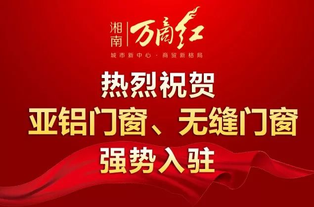 探索新奧門正版魅力，揭秘數(shù)字背后的故事