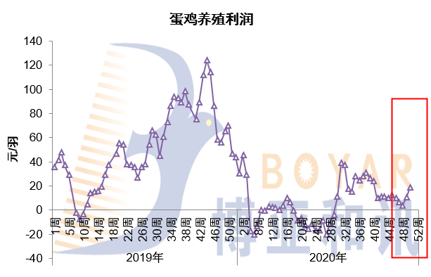 澳門跑狗圖與未來展望，探索2024正版資料的深度價值
