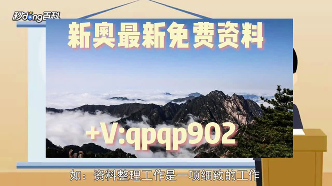 2024年新奧正版資料免費(fèi)提供，探索與機(jī)遇