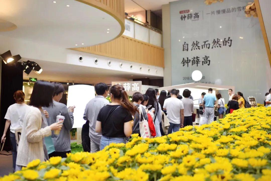 微信最新版本功能解析，探索微信的新天地